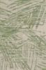 Picture of VLOERKLEED BREEZE 120X170 WOOL/FOREST GREEN