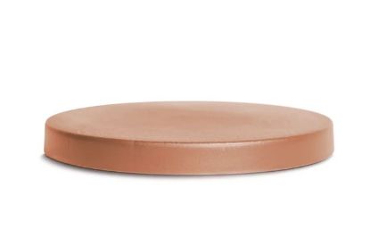 Afbeeldingen van PROSPERPLAST PLANTTROLLEY 39X4.5CM R624